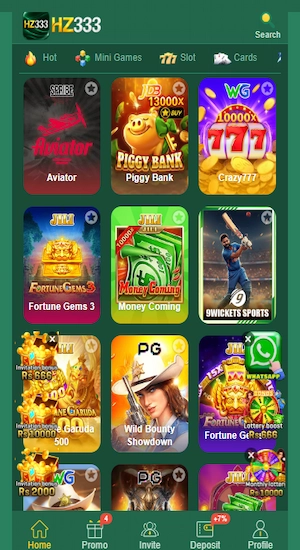 HZ333 Game