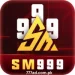 SM999 Game