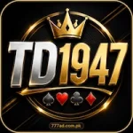 TD1947 Game